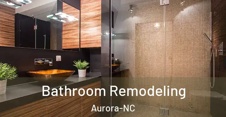 inner Bathroom imggen Bathroom Remodeling Aurora-NC