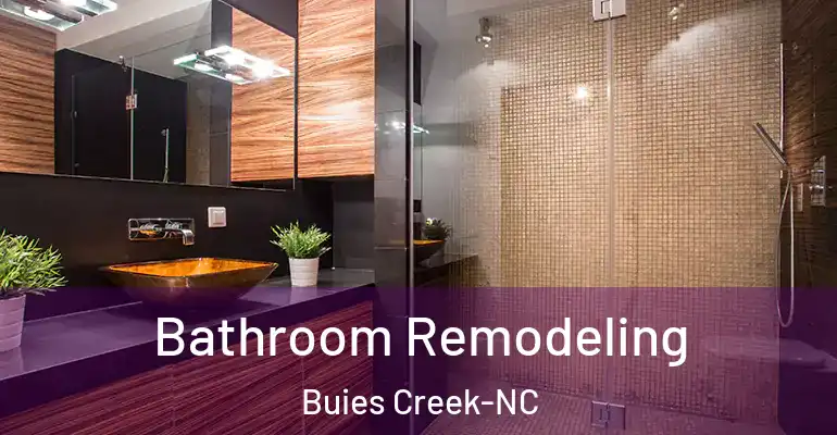 inner Bathroom imggen Bathroom Remodeling Buies Creek-NC