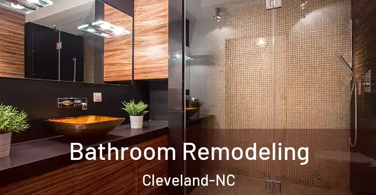 inner Bathroom imggen Bathroom Remodeling Cleveland-NC