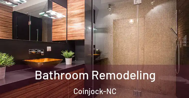 inner Bathroom imggen Bathroom Remodeling Coinjock-NC