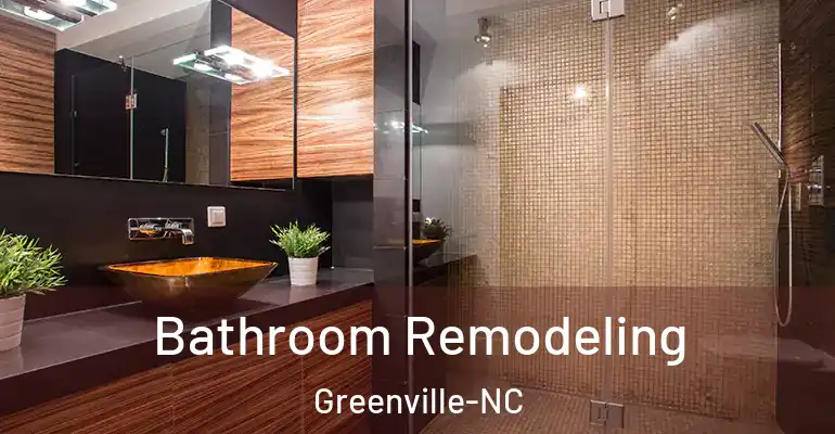 inner Bathroom imggen Bathroom Remodeling Greenville-NC