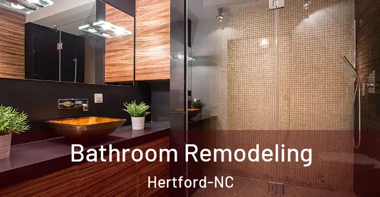 inner Bathroom imggen Bathroom Remodeling Hertford-NC