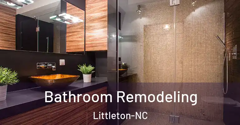 inner Bathroom imggen Bathroom Remodeling Littleton-NC