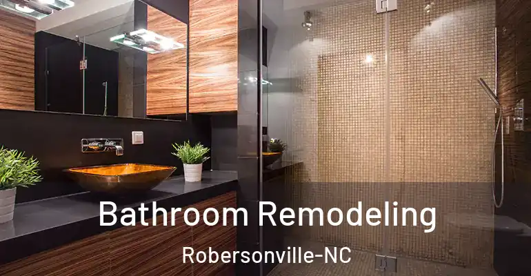 inner Bathroom imggen Bathroom Remodeling Robersonville-NC