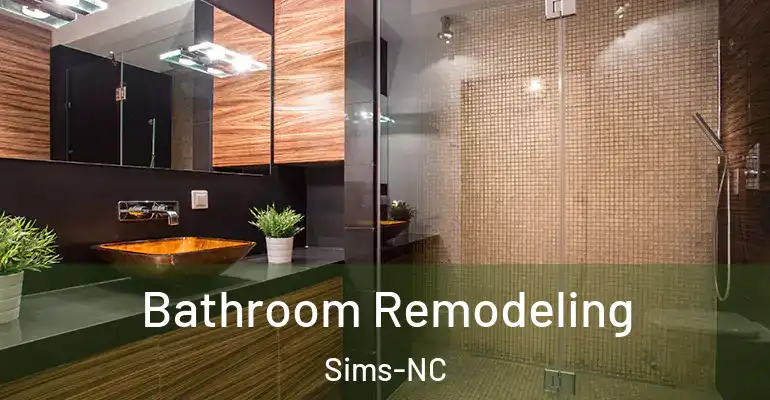 inner Bathroom imggen Bathroom Remodeling Sims-NC