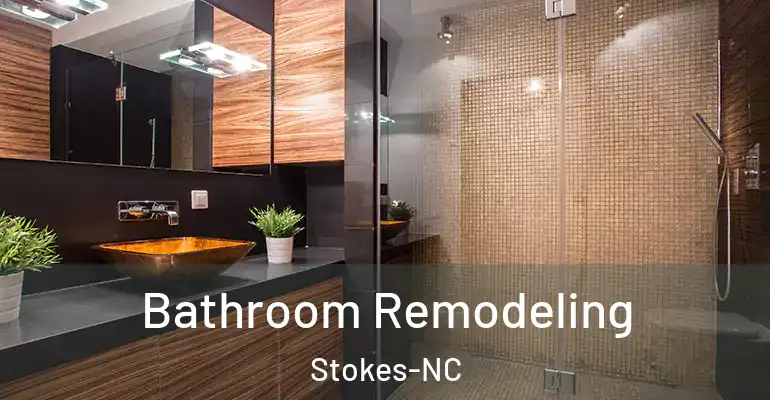inner Bathroom imggen Bathroom Remodeling Stokes-NC