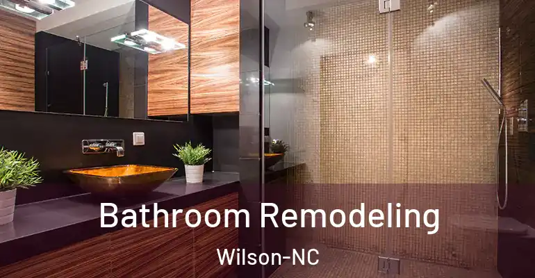 inner Bathroom imggen Bathroom Remodeling Wilson-NC