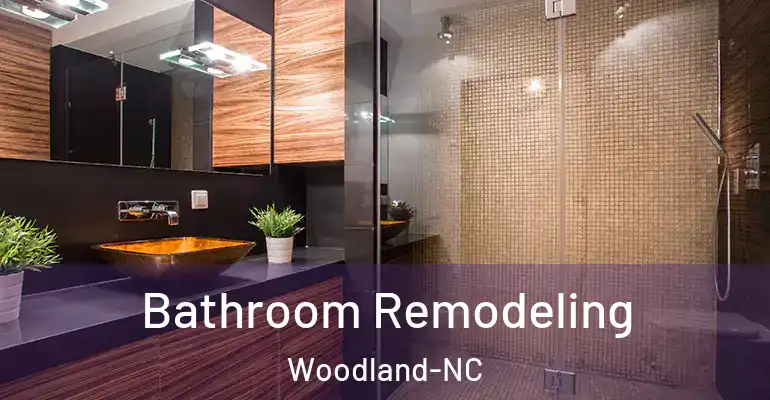 inner Bathroom imggen Bathroom Remodeling Woodland-NC