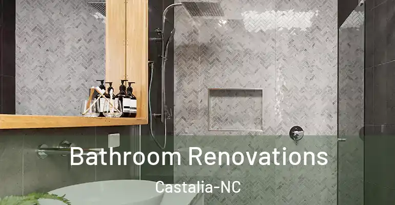 inner Bathroom imggen Bathroom Renovations Castalia-NC