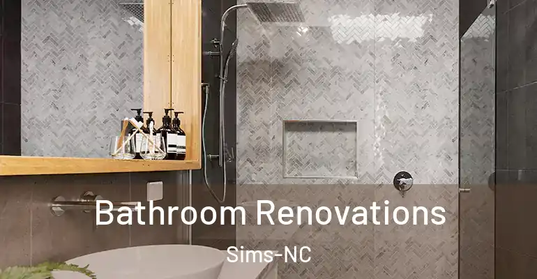 inner Bathroom imggen Bathroom Renovations Sims-NC