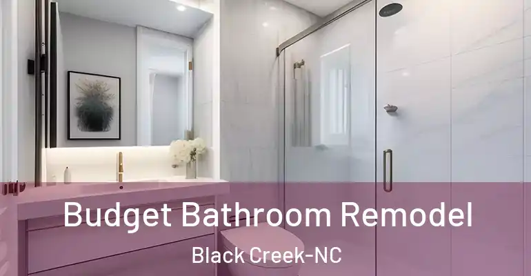 inner Bathroom imggen Budget Bathroom Remodel Black Creek-NC