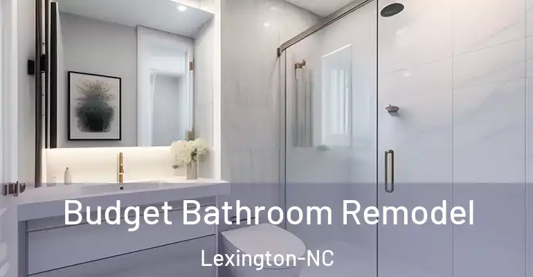 inner Bathroom imggen Budget Bathroom Remodel Lexington-NC