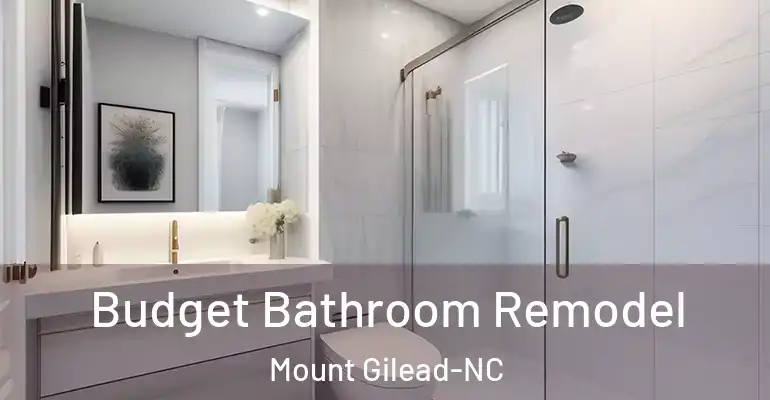 inner Bathroom imggen Budget Bathroom Remodel Mount Gilead-NC
