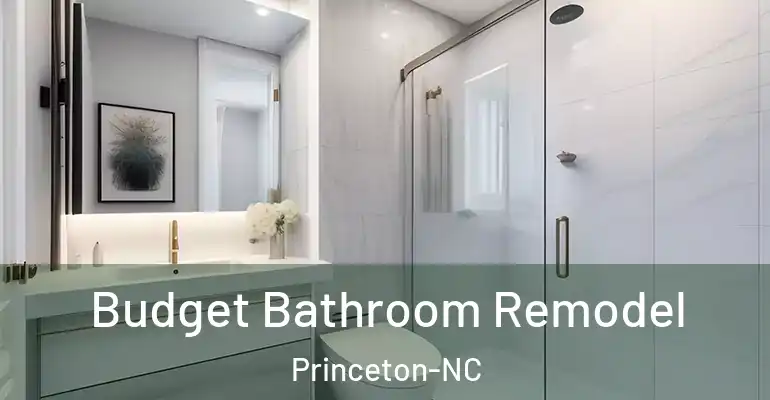 inner Bathroom imggen Budget Bathroom Remodel Princeton-NC