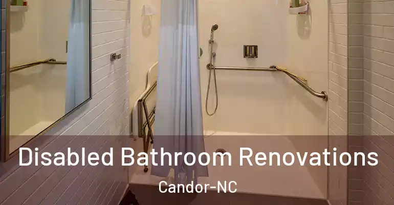 inner Bathroom imggen Disabled Bathroom Renovations Candor-NC