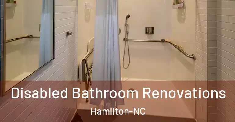 inner Bathroom imggen Disabled Bathroom Renovations Hamilton-NC