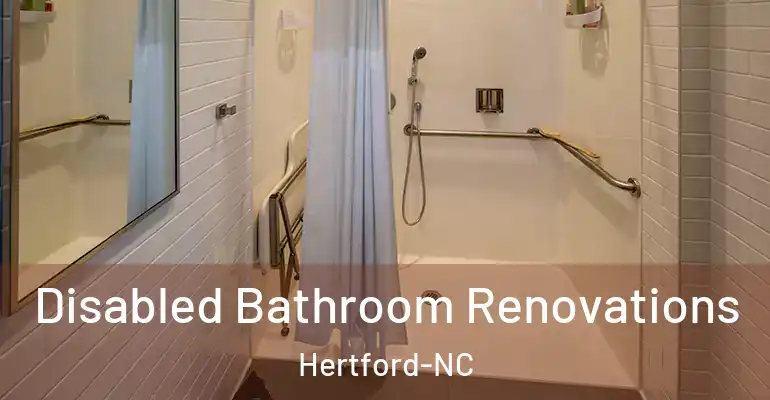 inner Bathroom imggen Disabled Bathroom Renovations Hertford-NC