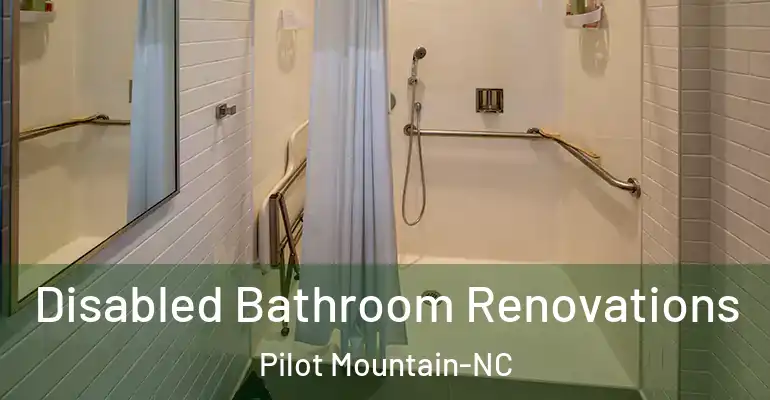 inner Bathroom imggen Disabled Bathroom Renovations Pilot Mountain-NC