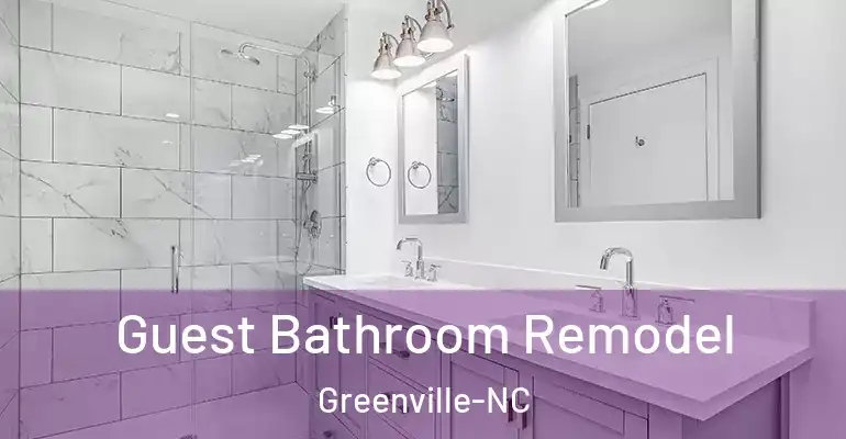 inner Bathroom imggen Guest Bathroom Remodel Greenville-NC