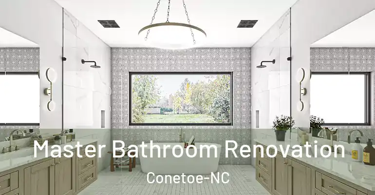 inner Bathroom imggen Master Bathroom Renovation Conetoe-NC