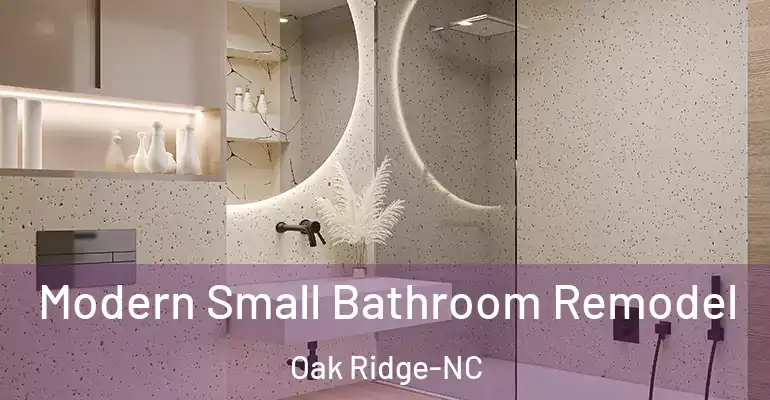 inner Bathroom imggen Modern Small Bathroom Remodel Oak Ridge-NC