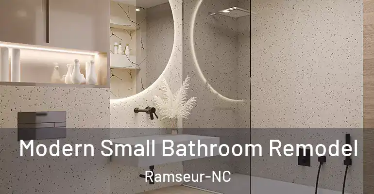 inner Bathroom imggen Modern Small Bathroom Remodel Ramseur-NC