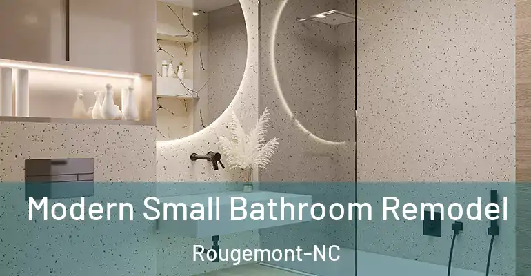 inner Bathroom imggen Modern Small Bathroom Remodel Rougemont-NC