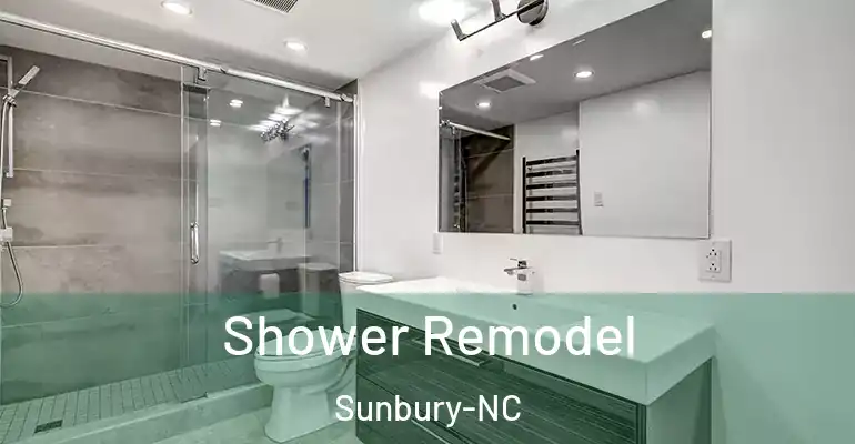 inner Bathroom imggen Shower Remodel Sunbury-NC