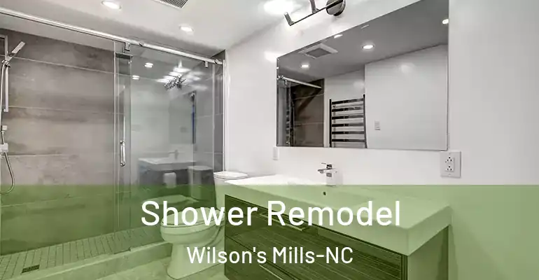 inner Bathroom imggen Shower Remodel Wilson's Mills-NC
