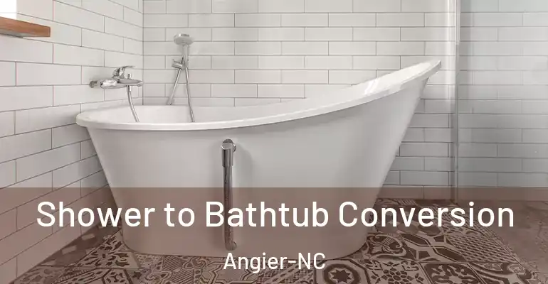 inner Bathroom imggen Shower to Bathtub Conversion Angier-NC