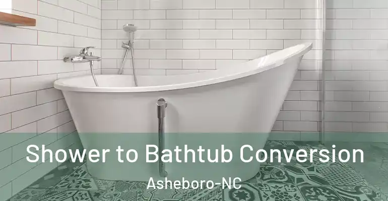 inner Bathroom imggen Shower to Bathtub Conversion Asheboro-NC