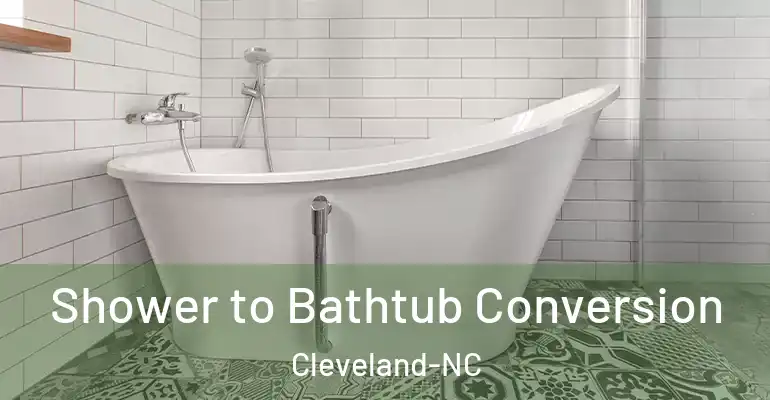 inner Bathroom imggen Shower to Bathtub Conversion Cleveland-NC