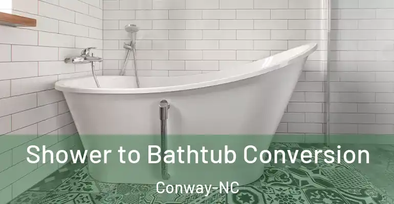 inner Bathroom imggen Shower to Bathtub Conversion Conway-NC