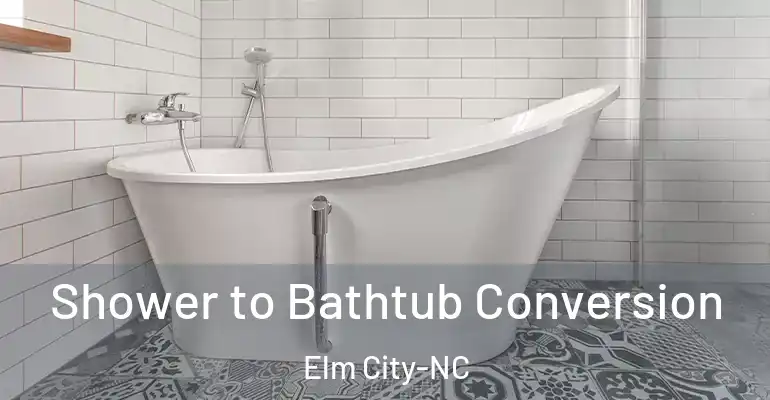 inner Bathroom imggen Shower to Bathtub Conversion Elm City-NC