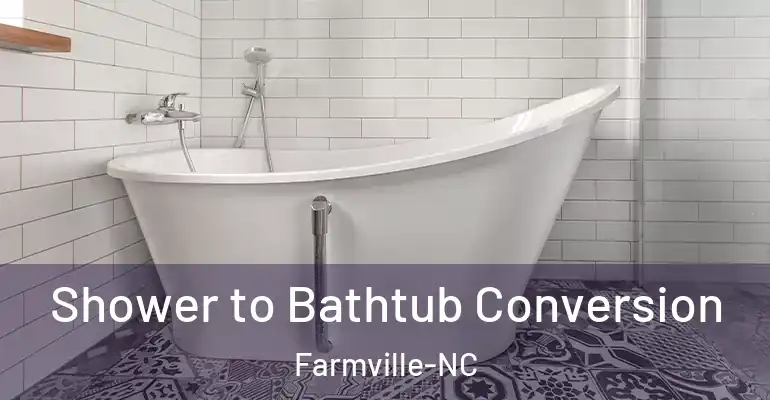 inner Bathroom imggen Shower to Bathtub Conversion Farmville-NC
