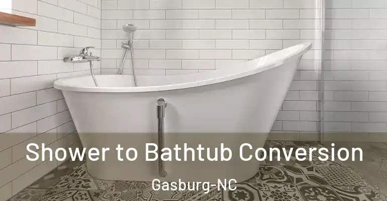 inner Bathroom imggen Shower to Bathtub Conversion Gasburg-NC