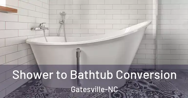 inner Bathroom imggen Shower to Bathtub Conversion Gatesville-NC