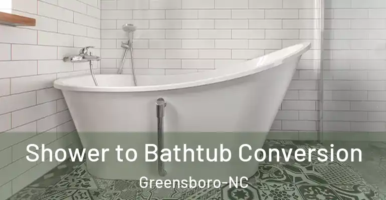 inner Bathroom imggen Shower to Bathtub Conversion Greensboro-NC