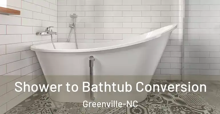 inner Bathroom imggen Shower to Bathtub Conversion Greenville-NC