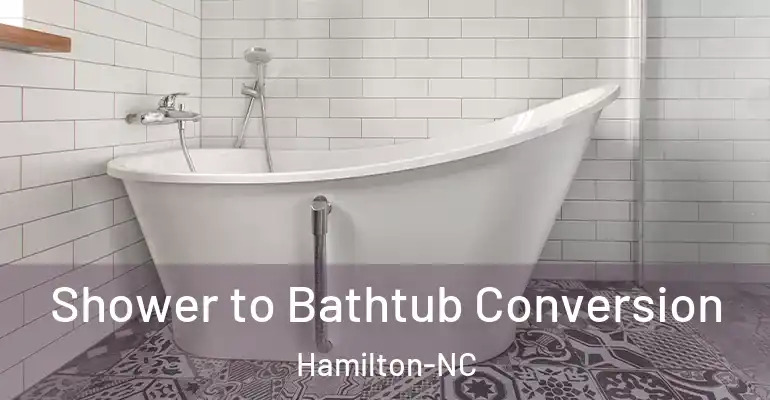 inner Bathroom imggen Shower to Bathtub Conversion Hamilton-NC