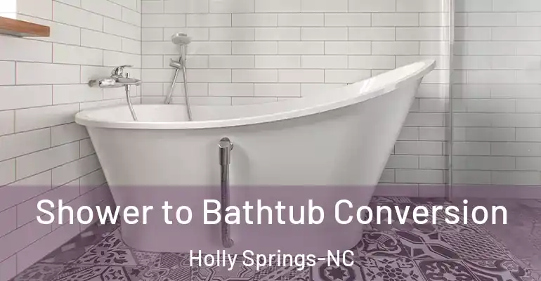 inner Bathroom imggen Shower to Bathtub Conversion Holly Springs-NC