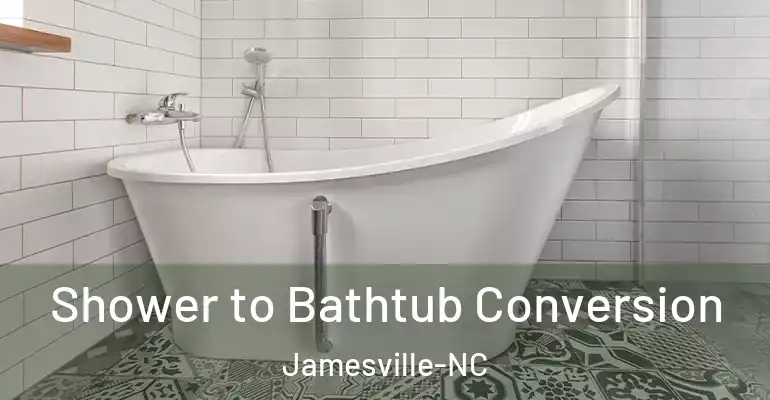 inner Bathroom imggen Shower to Bathtub Conversion Jamesville-NC