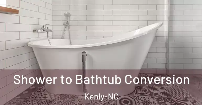 inner Bathroom imggen Shower to Bathtub Conversion Kenly-NC
