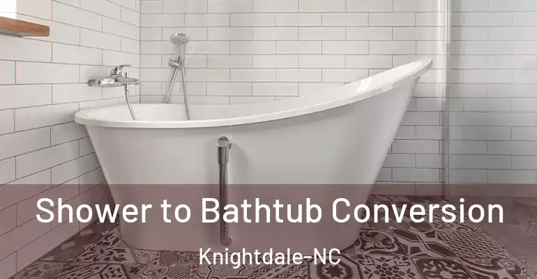 inner Bathroom imggen Shower to Bathtub Conversion Knightdale-NC