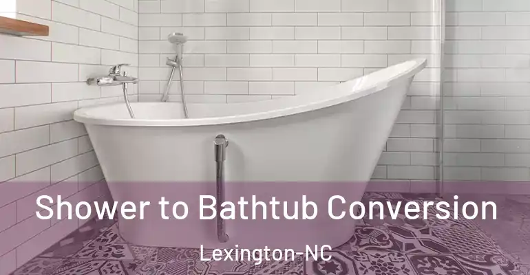 inner Bathroom imggen Shower to Bathtub Conversion Lexington-NC