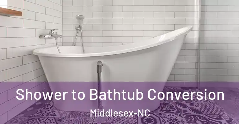 inner Bathroom imggen Shower to Bathtub Conversion Middlesex-NC