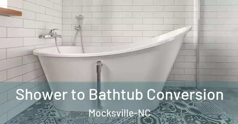 inner Bathroom imggen Shower to Bathtub Conversion Mocksville-NC
