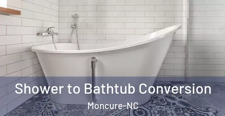 inner Bathroom imggen Shower to Bathtub Conversion Moncure-NC
