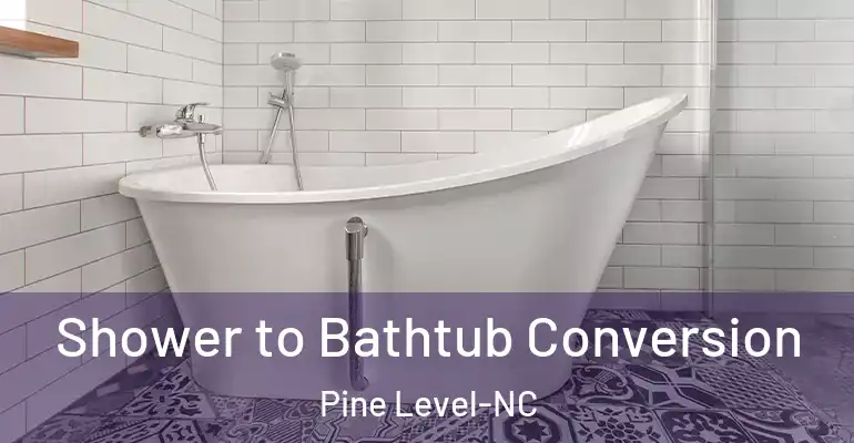 inner Bathroom imggen Shower to Bathtub Conversion Pine Level-NC
