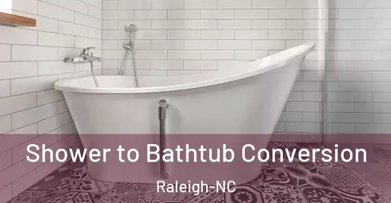 inner Bathroom imggen Shower to Bathtub Conversion Raleigh-NC